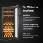 Haier Serie 5 HWS79GDG Weinkühlschrank, 79 Flaschen – Bild 3