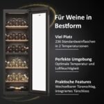 Haier Serie 7 HWS77GDAU1 Weinkühlschrank – Bild 5
